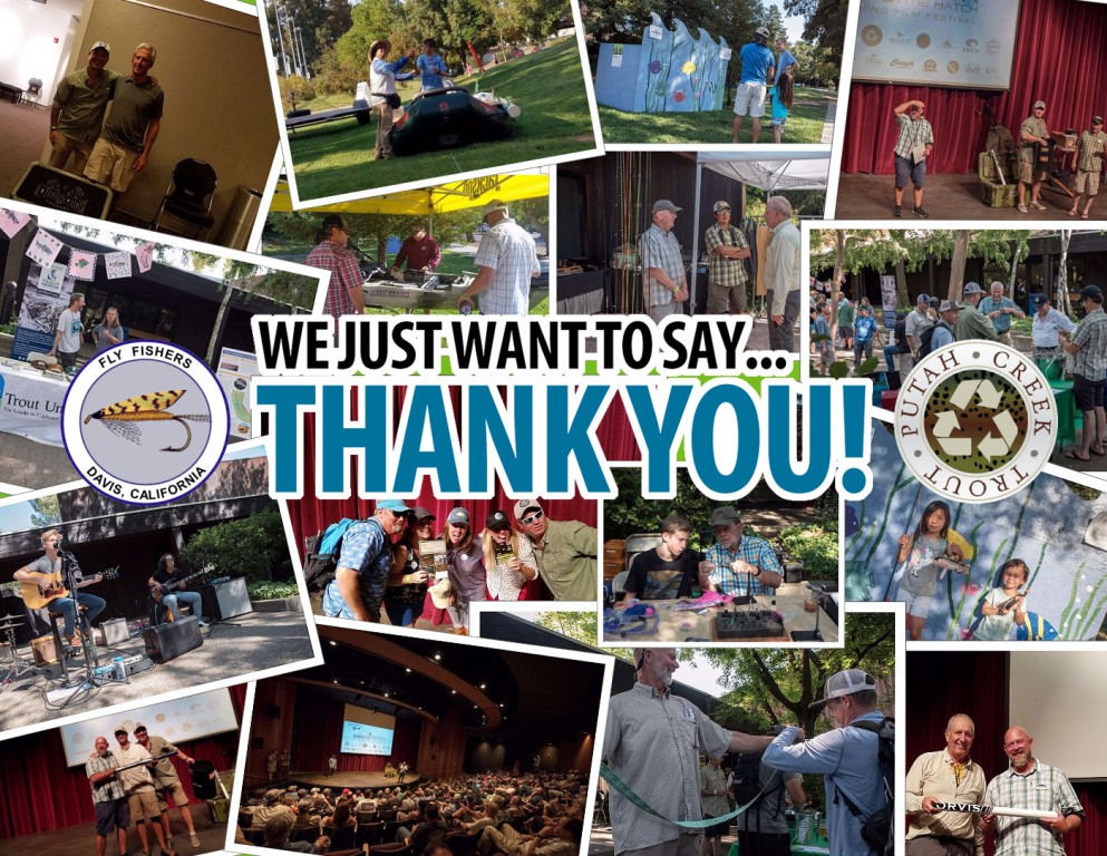 DTHThankYou.jpg