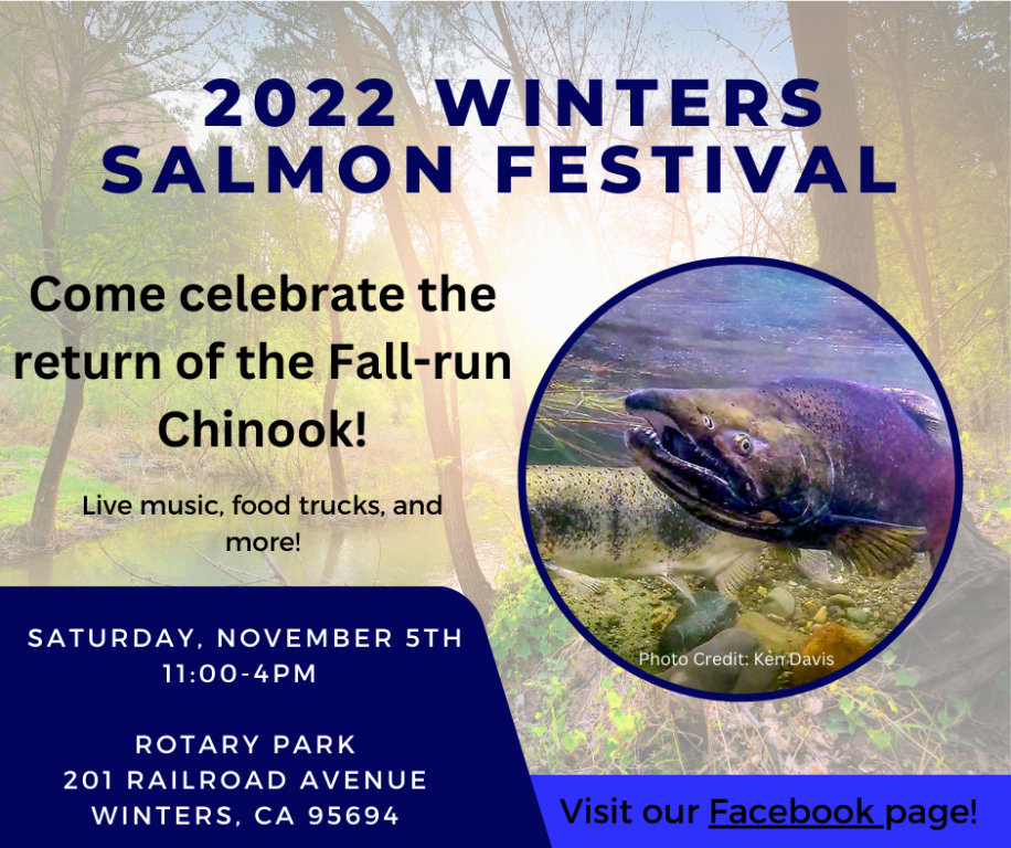 Salmon Festival .png